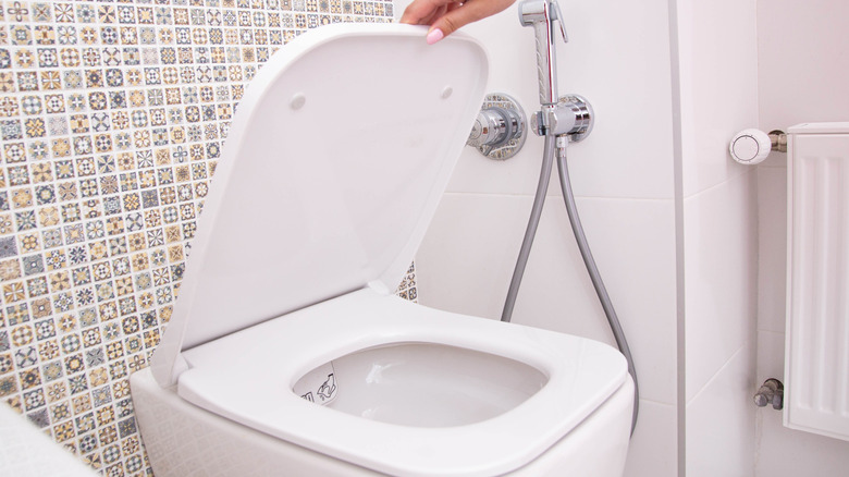 Toilet Upgrade: 11 Easy Hacks